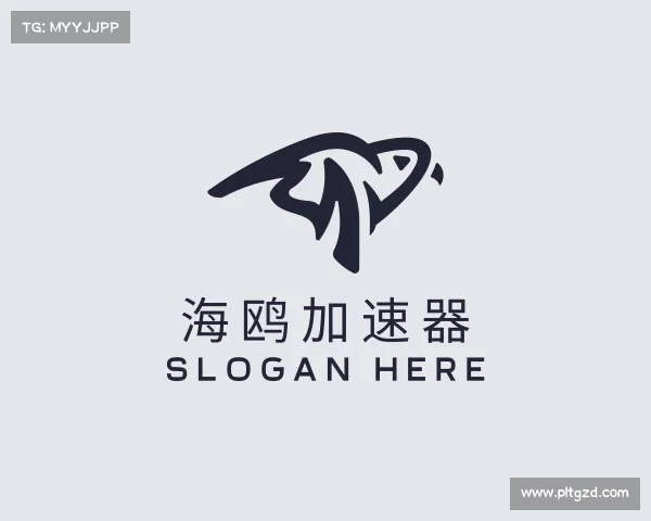 了解海鸥加速器