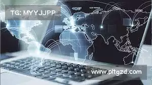 海鸥加速器下载——智能分析，迅速匹配理想伺服器，助您更高效运作！